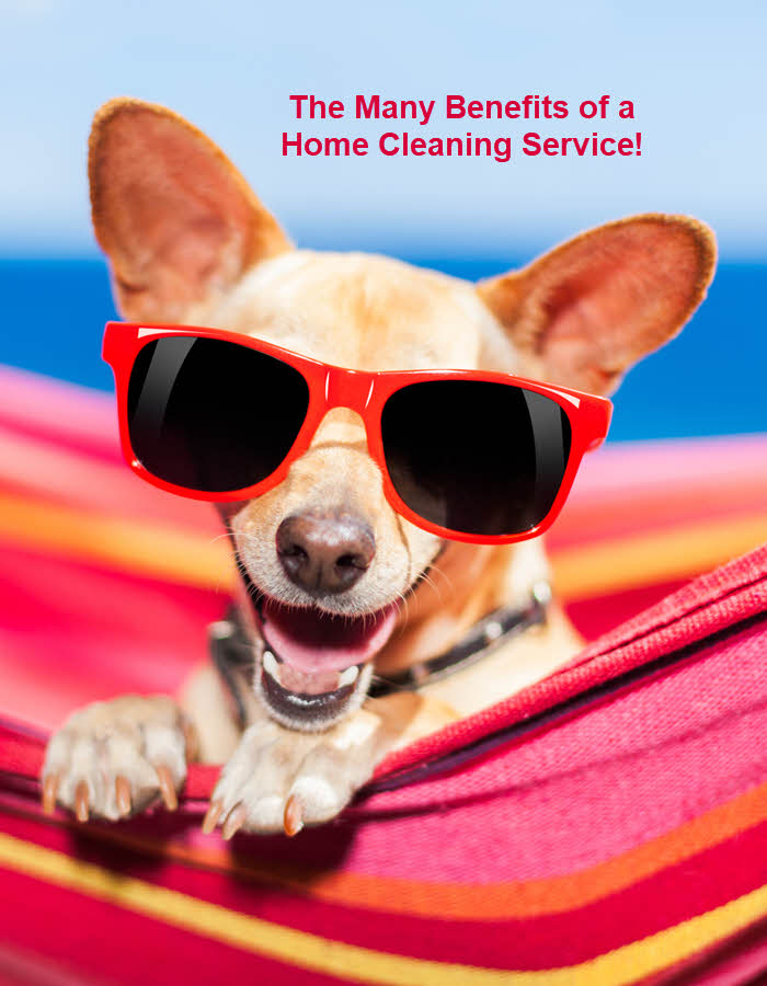 Upper Valley Home Cleaning