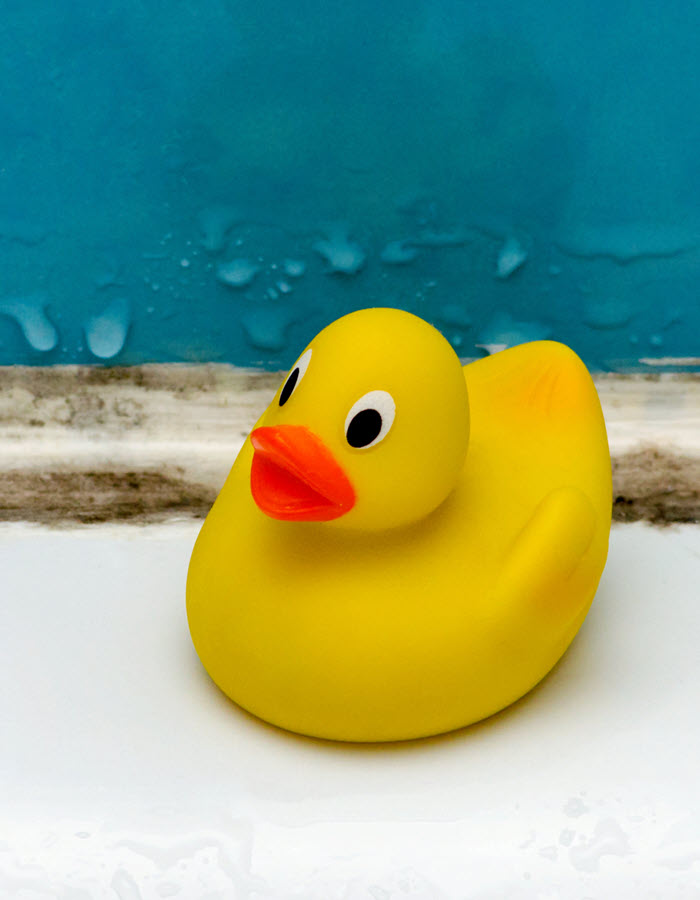 Mold Prevention for Bathrooms - Upper Valley Home Cleaning